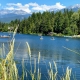 People paddle across a lake in Whistler on a sunny day.